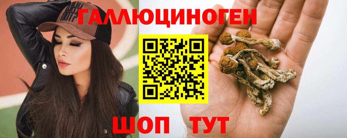 Галлюциногенные грибы Magic Shrooms  Вход с VPN  где купить   Каменка 