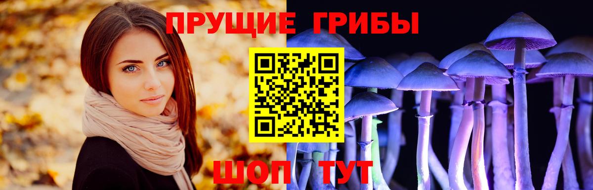 Галлюциногенные грибы мицелий Каменка
